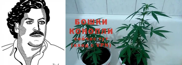амф Горно-Алтайск